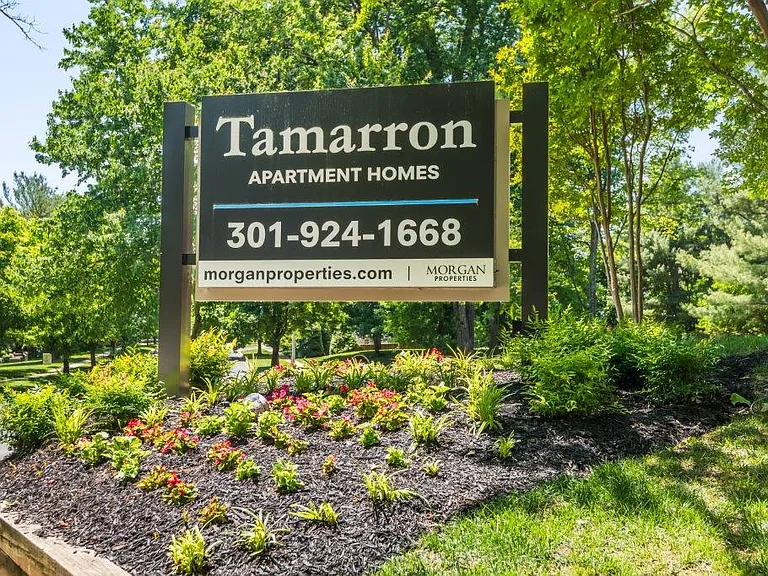 Tamarron Apartment Homes — Photo 24