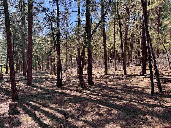 3rd image of 135 Pine Cone Circle