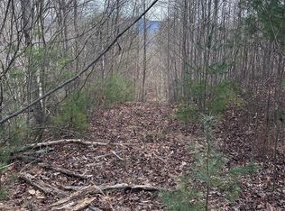 99999 Ramsey Chandler Rd #11, Marshall, NC 28753