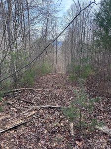 99999 Ramsey Chandler Rd #11, Marshall, NC, 28753