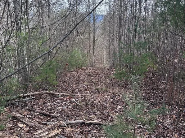 99999 Ramsey Chandler Rd #11, Marshall, NC 28753