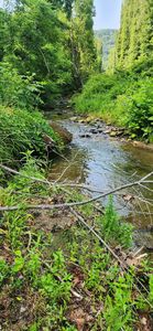 0 Runnett Bag Rd, Ferrum, VA, 24088