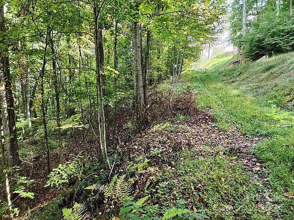 2nd image of 0 Arrowhead Ln #16