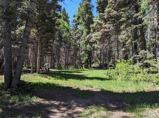 3131 Henderson Dr, Fort Garland, CO 81133