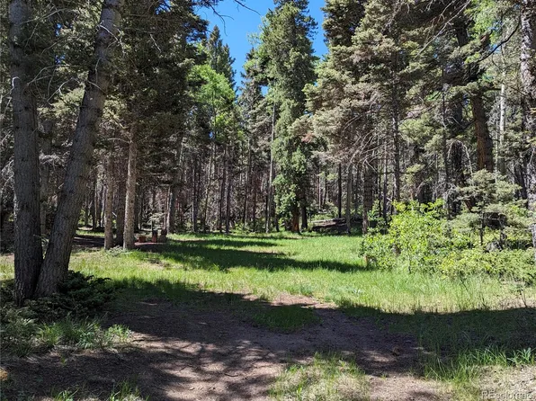 3131 Henderson Drive, Fort Garland, CO 81133