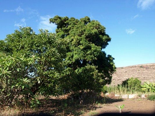 2nd image of Menehune Rd