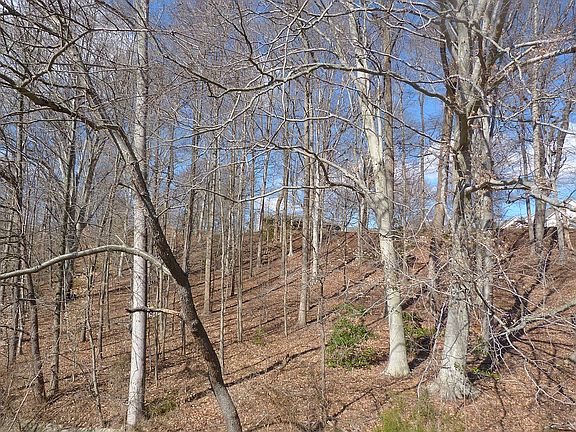 North from Dairy Farm Rd