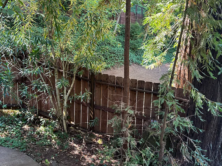 148 Sequoia Ave — Photo 3