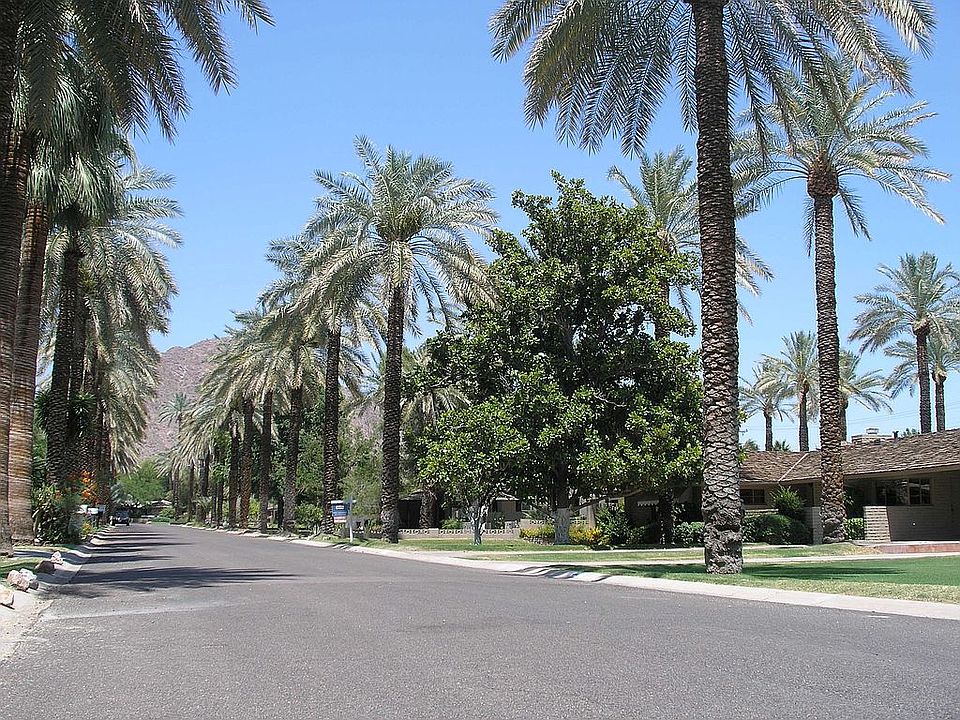 Secluded date palm neighborhood