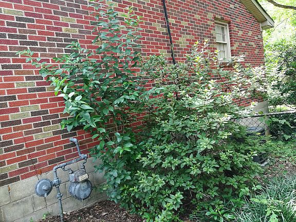 4th image of 3201 Asbury Ln