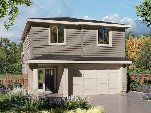 Sparrow Plan, Solstice