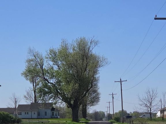 5th image of 18725 Linden Rd