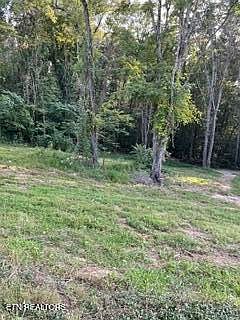 2nd image of Wells Rd