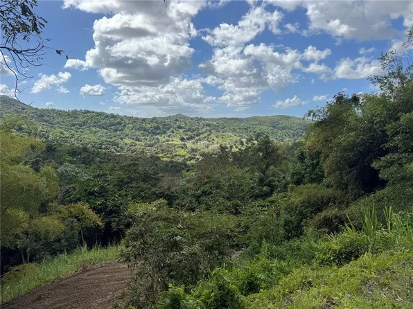 Carr 857 Km #6.3, Carolina, PR 00987