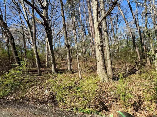 Lots 3 And 4 Cobb St, Little Rock, AR 72204