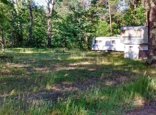 2661 W Ferndale St, Baldwin, MI 49304