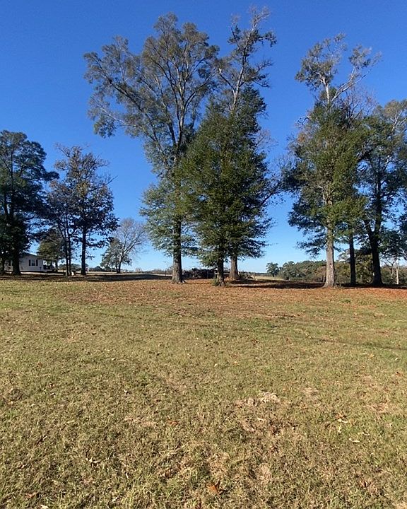2nd image of Wynn Rd #-51