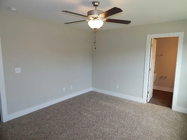 401 Bee Cove Way — Photo 10