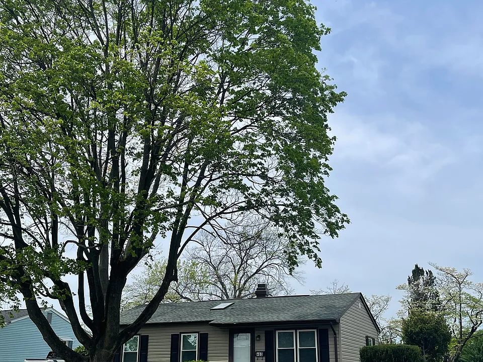 463 Carrollton Dr