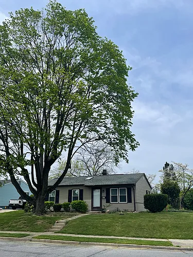 463 Carrollton Dr Photo 1