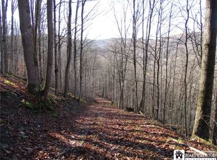 Bloye Rd, Franklinville, NY 14737