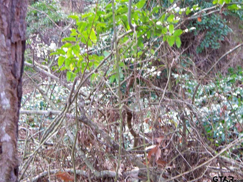 2nd image of Tbd Cr 2850