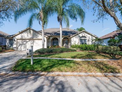 9420 Hunters Pond Dr, Tampa, FL, 33647
