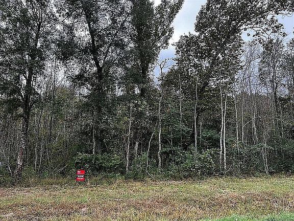 5th image of 4 Encino Ests