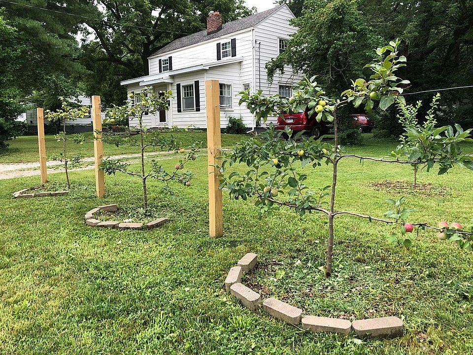 Espalier Apple Trees