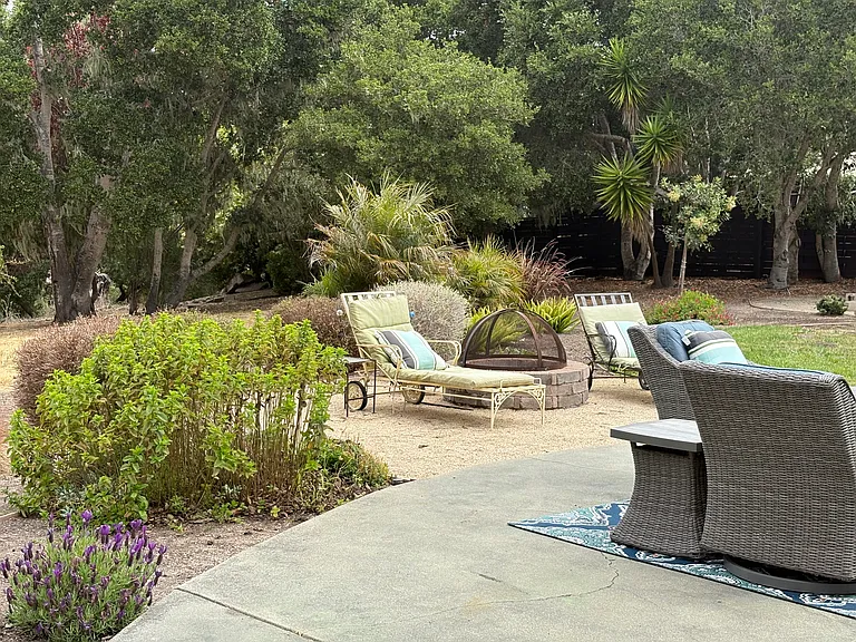 Rear Yard