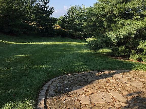 Great yard for kids to run