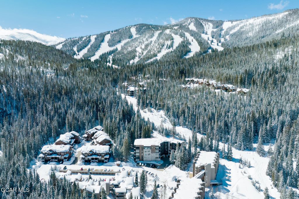 422 Iron Horse Way #206, Winter Park, CO - View 5