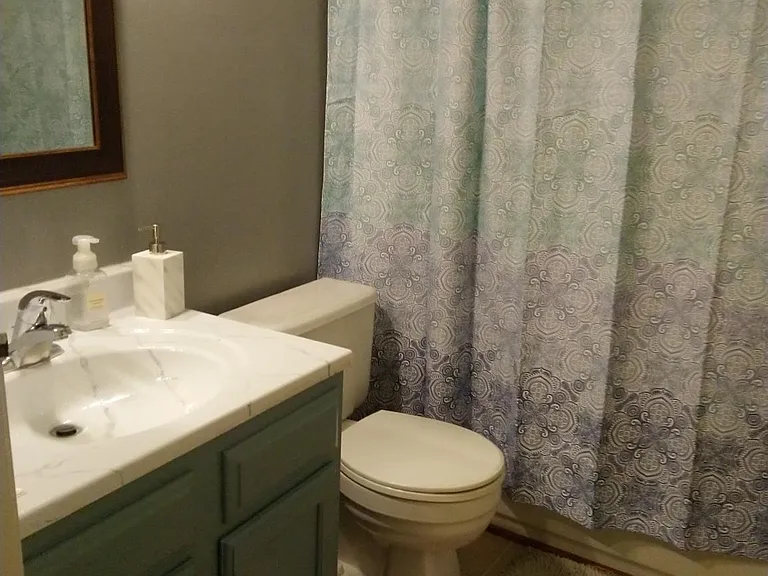 11120 S Lakes Dr — Photo 5