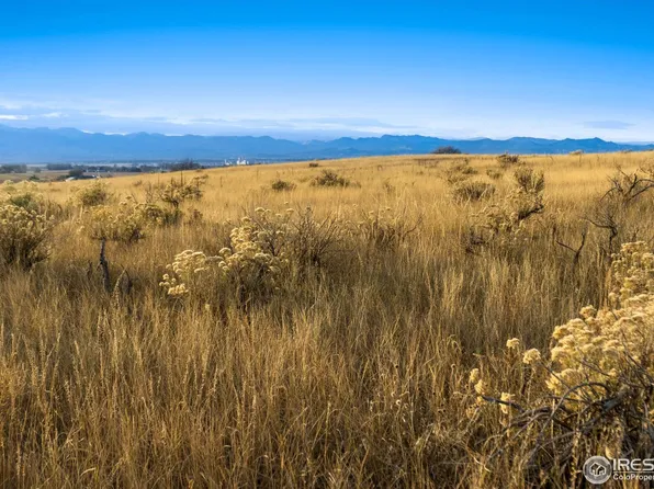 7899 County Road 84 - Lot 8, Fort Collins, CO 80524