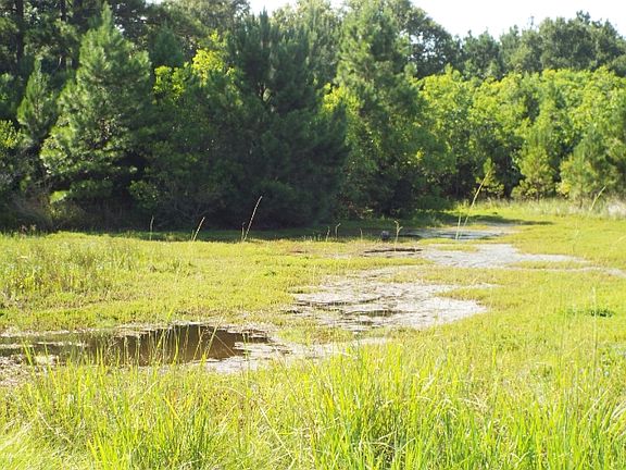 3rd image of 783 County Road 797