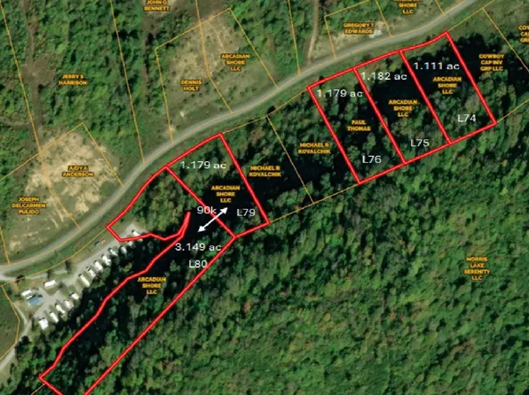 79 & 80 Marina Landing Rd, Tazewell, TN 37879