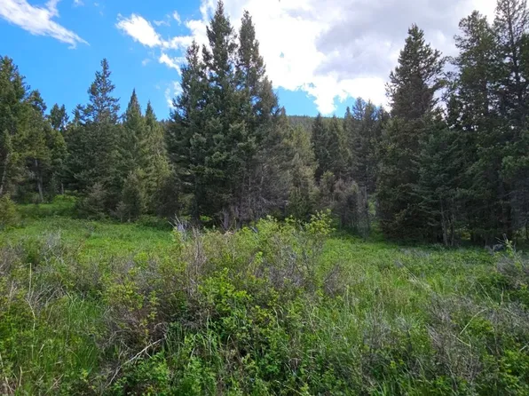 11 Hall Creek Ln, Helmville, MT 59843