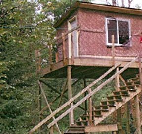 2nd image of 1224 Penny Ln
