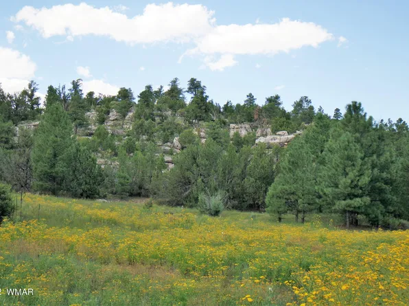 Tbd Black Canyon Rd, Heber, AZ 85928