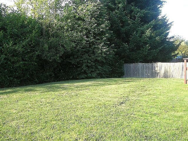 Perfect backyard