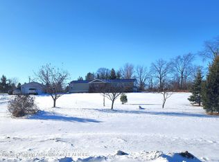 13316 Cherry St, Lake Odessa, MI 48849