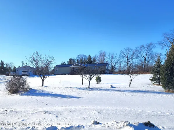 13316 Cherry St, Lake Odessa, MI 48849