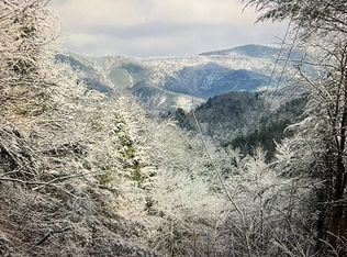 0 N Ball Hollow Rd #4, Sevierville, TN 37876
