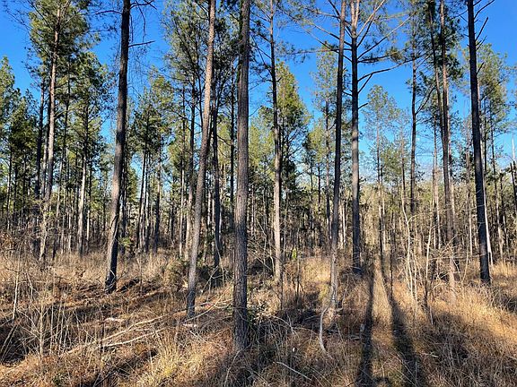 5th image of 0 Pisgah Rd #4