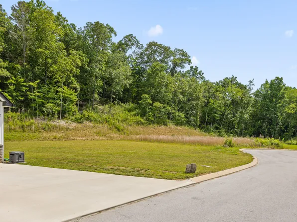 12325 Short Horn Ct, Birchwood, TN 37308