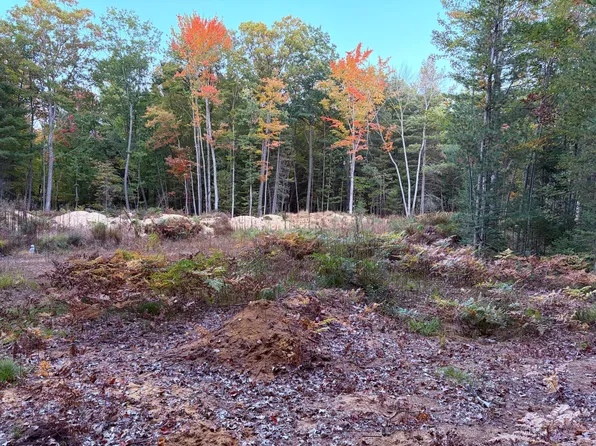 LOT 20 Indian Oaks Trl, Prudenville, MI 48651