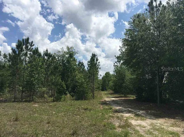 NE 44th Ave, High Springs, FL 32643