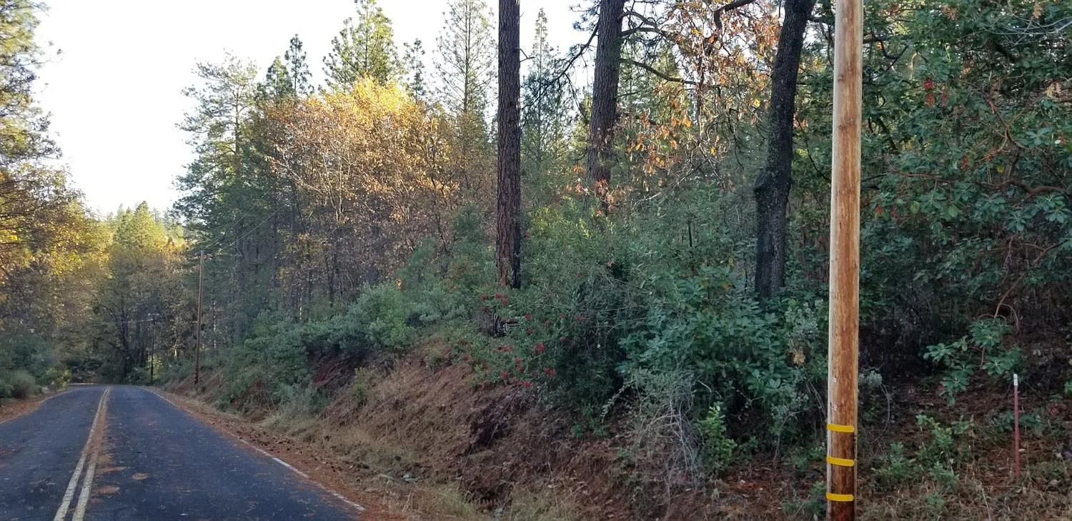 14580 Surrey Junction Ln photo 1