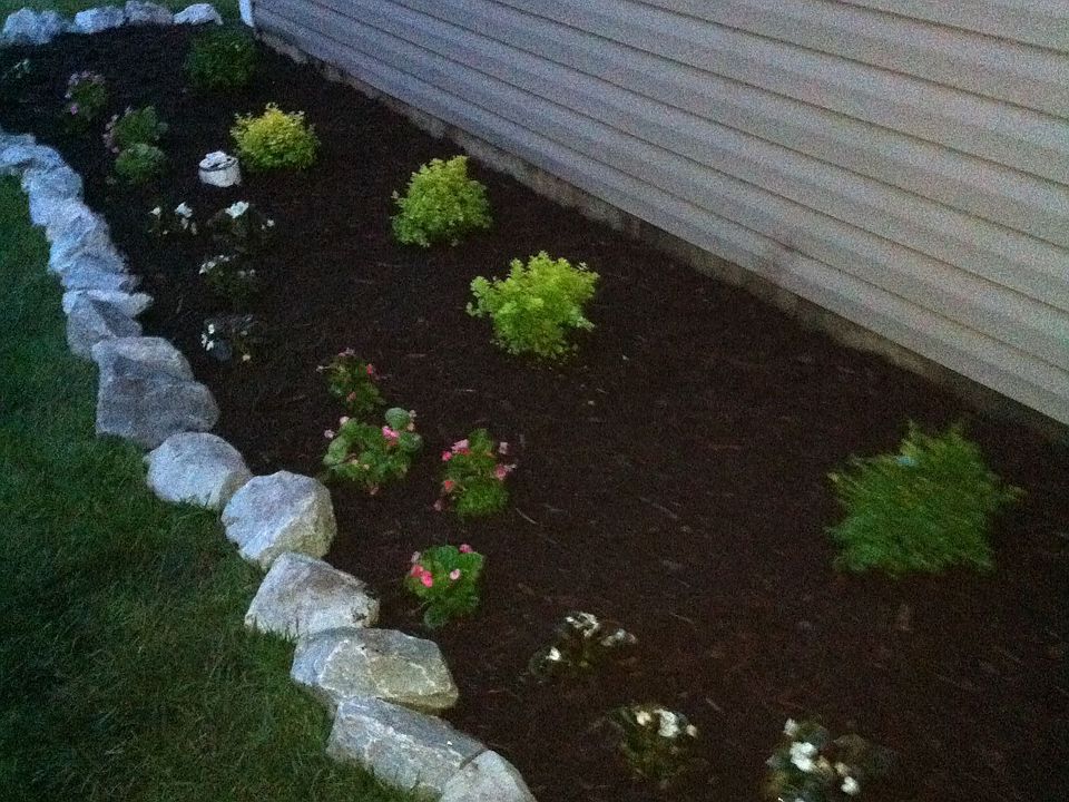 new landscaping in the front