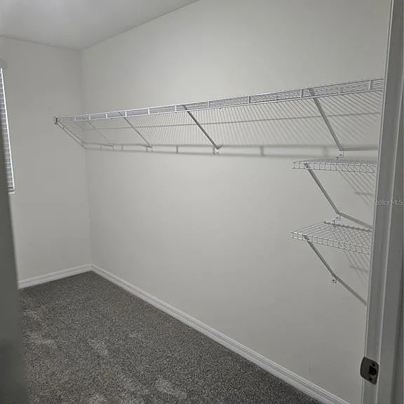10116 Charlotte Dr — Photo 29